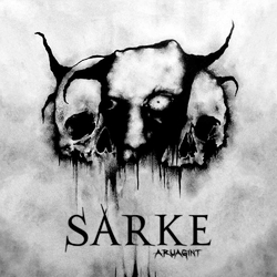 Sarke Aruagint Vinyl LP
