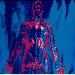 Nirvana Sliver / Dive LP