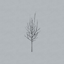 Low Ones And Sixes Vinyl 2 LP