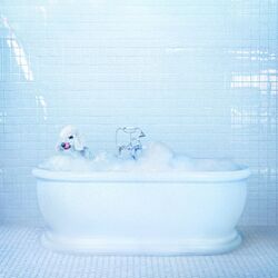 Frankie Cosmos Vessel Vinyl LP
