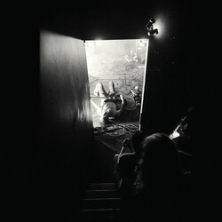 Metz Automat Vinyl LP