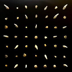 Clipping. Visions Of Bodies Being Burned Vinyl 2 LP