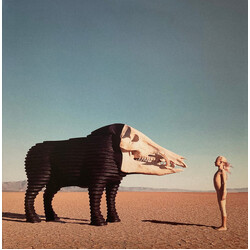 Man Man Dream Hunting In The Valley Of The In-Between Vinyl 2 LP