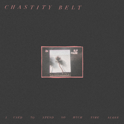 Chastity Belt I Used To Spend So Much Time Alone Vinyl LP