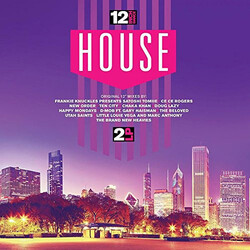 Various 12 Inch Dance House Vinyl 2 LP