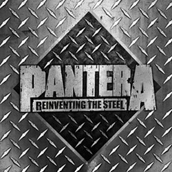 Pantera Reinventing The Steel Silver 2 LP Vinyl