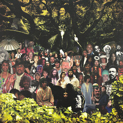 Devendra Banhart Cripple Crow Vinyl 2 LP