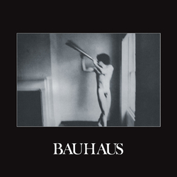 Bauhaus In The Flat Field Limited Edition Bronze Vinyl