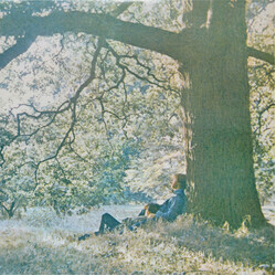 Yoko Ono / The Plastic Ono Band Plastic Ono Band Vinyl LP
