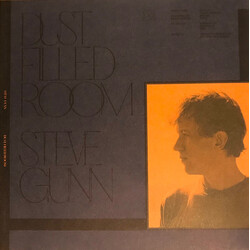 Steve Gunn / Bill Fay Dust Filled Room/Dust Filled Room Vinyl