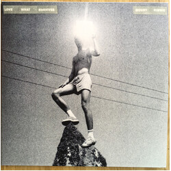 Mount Kimbie Love What Survives Vinyl 2 LP