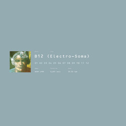 B12 Electro-Soma Vinyl 2 LP