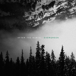 After The Burial Evergreen Standard Black LP Vinyl