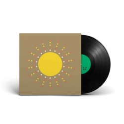 Gold Panda The Work LP