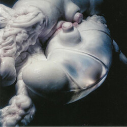 Bjork Arisen My Senses Vinyl