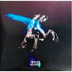 What So Not Not All The Beautiful Things