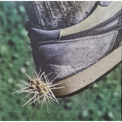 Ross From Friends Tread Vinyl 2 LP