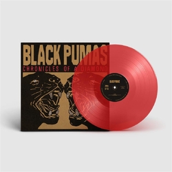 Black Pumas Chronicles Of A Diamond LP