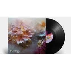 Tinlicker Cold Enough For Snow VINYL LP