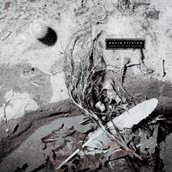David Sylvian Secrets Of The Beehive LP