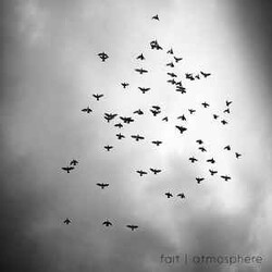 Fait Atmosphere Vinyl