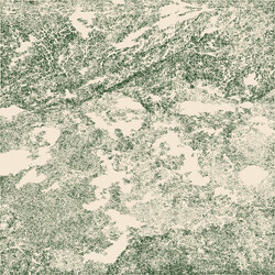 Various Midday Moon - Ambient And Experimental Music From Australia And New Zealand 1980 - 1995 Vinyl 2 LP