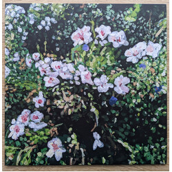 Jess Locke Don't Ask Yourself Why Vinyl LP