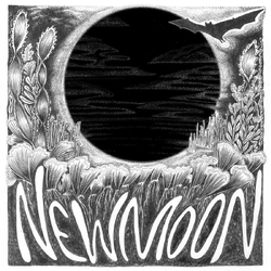 The Orbweavers New Moon / Silver Moon VINYL LP