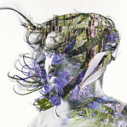Bibio Ribbons CD