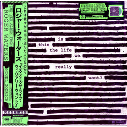 Roger Waters Is This The Life We Really Want? Vinyl 2LP