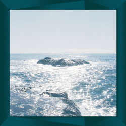Takao (9) Stealth Vinyl LP