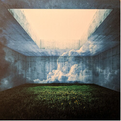 Nothing's Carved In Stone Maze Vinyl LP
