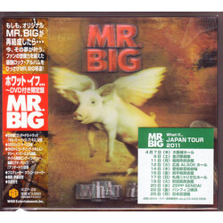 Mr. Big What If... Multi CD/DVD