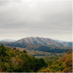 Dirty Projectors / Björk Mount Wittenberg Orca CD