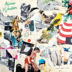 American Wrestlers Goodbye Terrible Youth CD