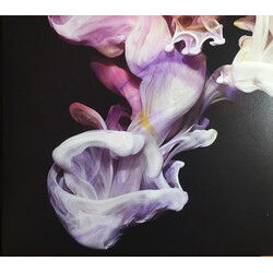 Simian Mobile Disco Murmurations CD