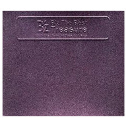 B'z B'z The Best "Treasure" CD