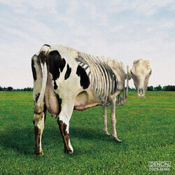 Morgaua Quartet Atom Heart Mother Is On The Edge