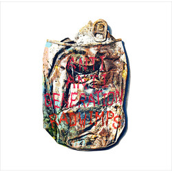 Radwimps Anti Anti Generation Multi CD/DVD