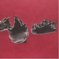 Black Ganion Third CD