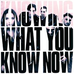 Marmozets Knowing What You Know Now