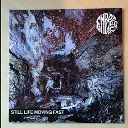Empress Ad Still Life Moving Fast VINYL LP