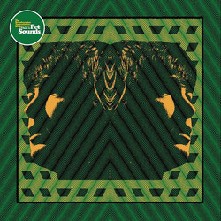 Various A Tribute To Pet Sounds Vinyl 2 LP