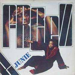 Junie Freeze VINYL LP