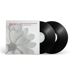 James Be Opened By The Wonderful VINYL LP