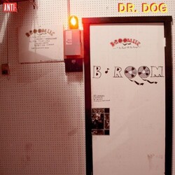 Dr. Dog B Room Vinyl LP