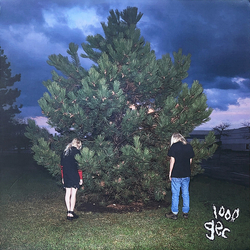 100 Gecs 1000 Gecs VINYL LP