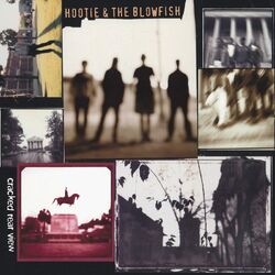 Hootie & The Blowfish Cracked Rear View Vinyl LP