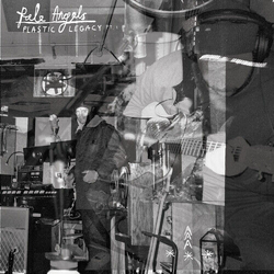 Pale Angels Plastic Legacy Vinyl LP