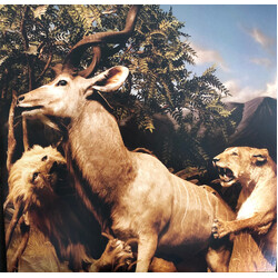 Interpol Our Love To Admire Vinyl LP